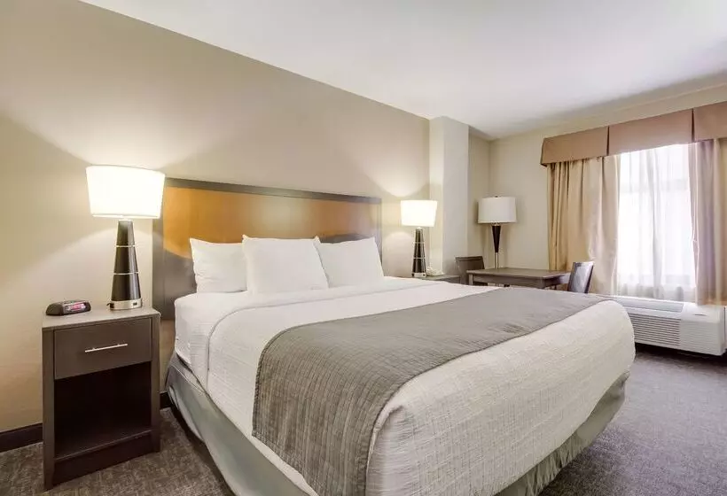 Fotos del hotel Surestay Plus Hotel By Best Western Houston Medical Center:  23