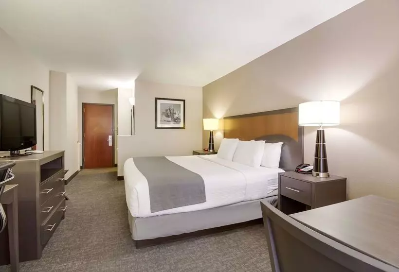 Fotos del hotel Surestay Plus Hotel By Best Western Houston Medical Center:  7