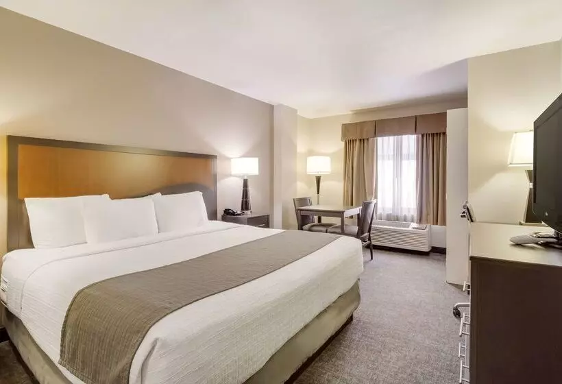 Fotos del hotel Surestay Plus Hotel By Best Western Houston Medical Center:  13