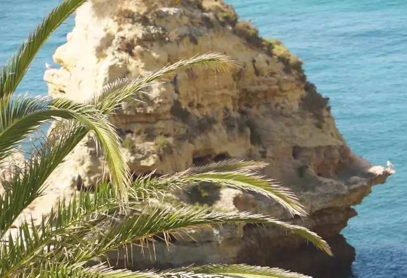 Fotos del hotel Tivoli Carvoeiro:  42