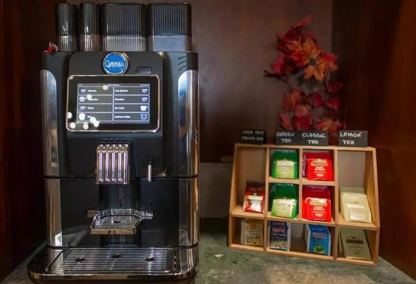 Fotos del hotel Andreotti:  4