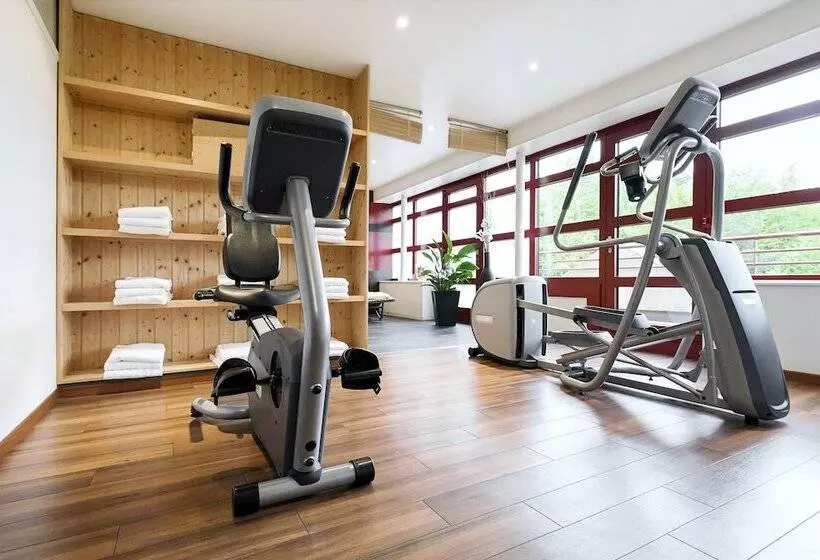 Fotos del hotel Nh Geneva Airport:  14