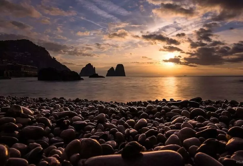 Fotos del hotel Weber Ambassador:  15