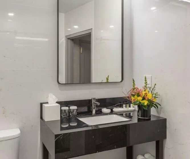 Fotos del hotel Broadway Plaza:  25