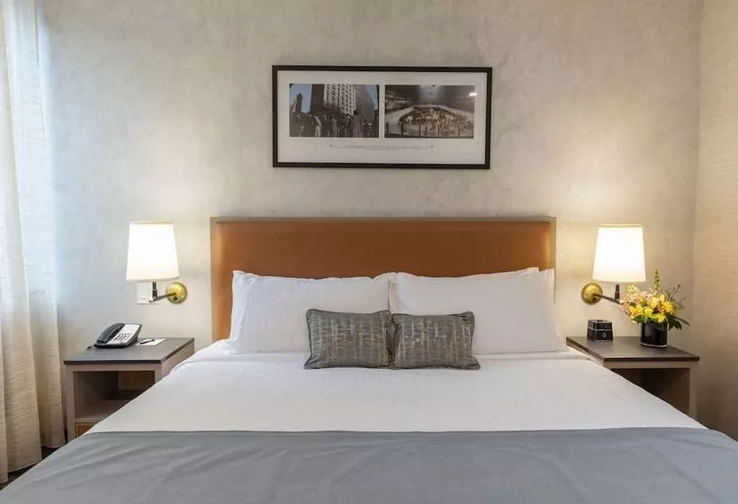 Fotos del hotel Broadway Plaza:  15