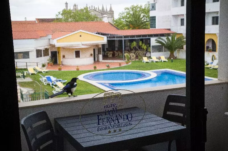 Fotos del hotel Dom Fernando:  16