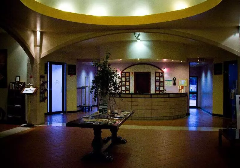 Fotos del hotel Dom Fernando:  4