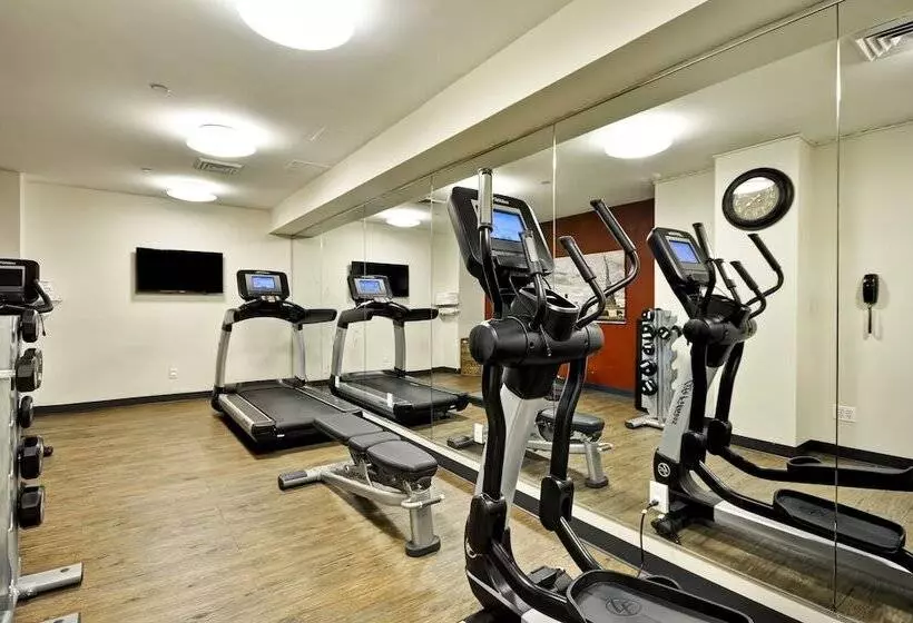 Fotos del hotel Dylan Hotel Nyc:  3