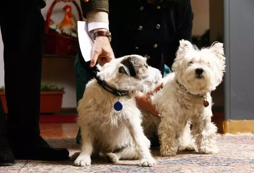 Fotos del hotel Mirage:  16