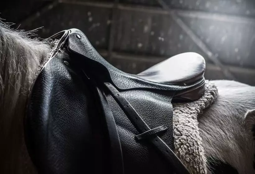 Fotos del hotel Mirage:  10