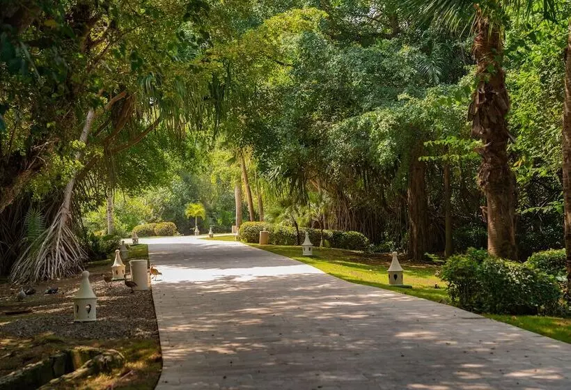 Fotos del hotel Tropical Deluxe Princess - All Inclusive:  16