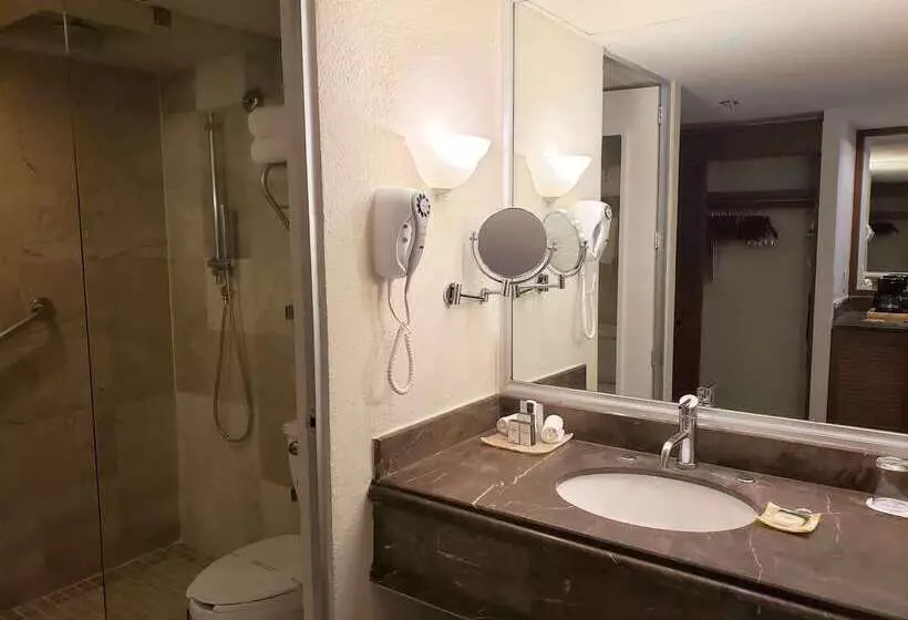 Fotos del hotel Barceló Ixtapa  All Inclusive:  16