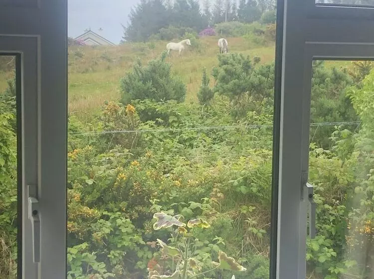 Fotos del hotel Buttermilk Lodge Guesthouse:  7