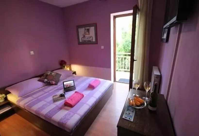 Fotos del hotel Villa Micika:  6