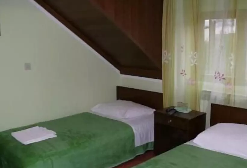 Fotos del hotel Villa Micika:  7