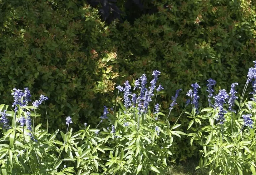 Fotos del hotel San Clemente Palace Kempinski Venice:  25