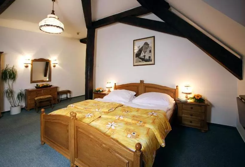 Fotos del hotel Malý Pivovar:  12