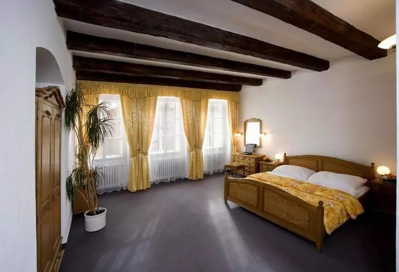 Fotos del hotel Malý Pivovar:  10