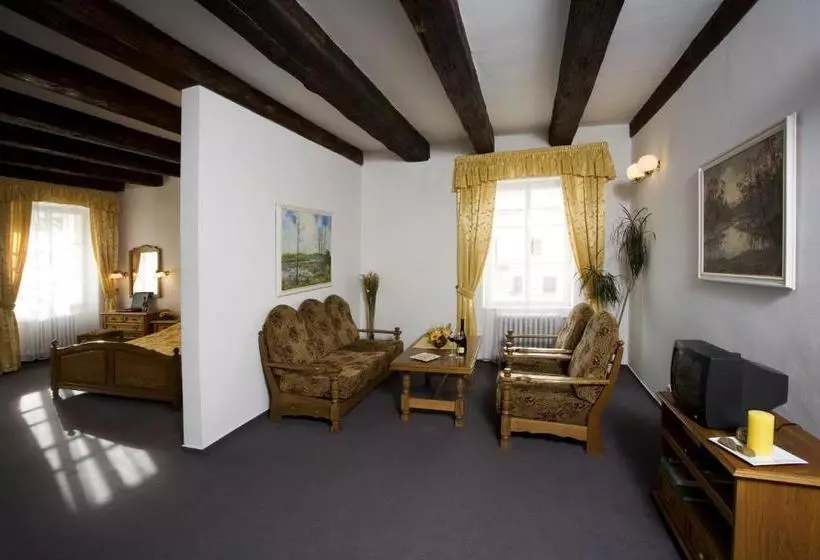 Fotos del hotel Malý Pivovar:  14