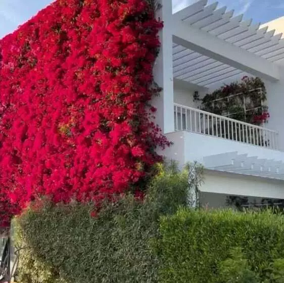 Fotos del hotel Monte Carlo Sharm Resort & Spa:  23