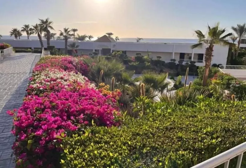 Fotos del hotel Monte Carlo Sharm Resort & Spa:  16