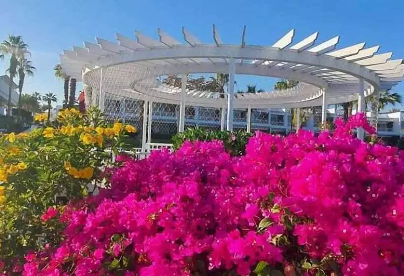 Fotos del hotel Monte Carlo Sharm Resort & Spa:  12