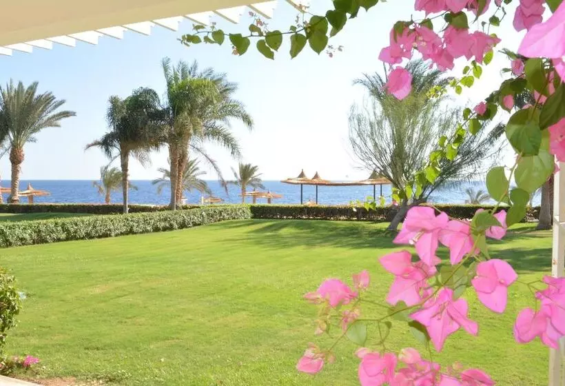 Fotos del hotel Monte Carlo Sharm Resort & Spa:  19