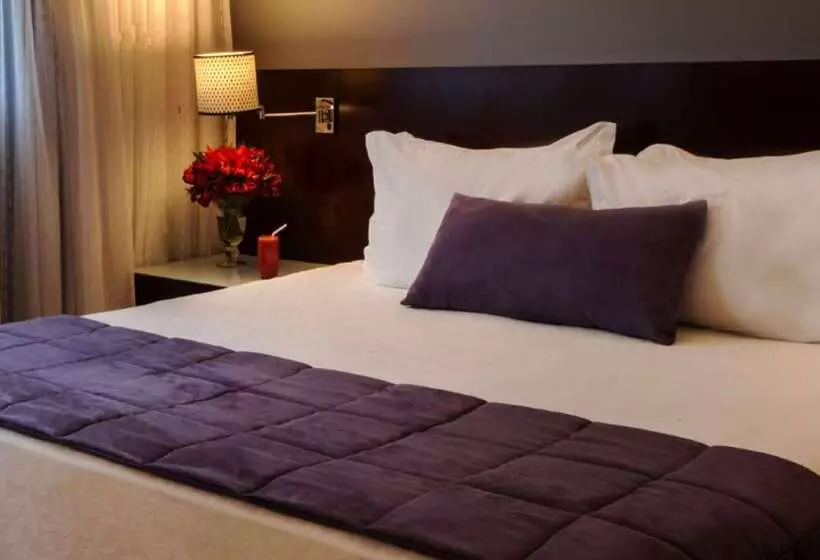 Fotos del hotel Wyndham São Paulo Berrini:  16