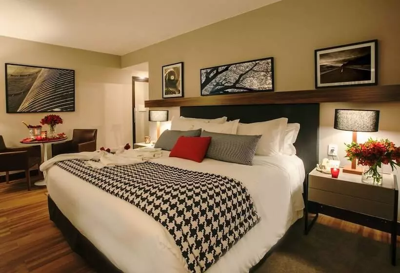 Fotos del hotel Wyndham São Paulo Berrini:  6