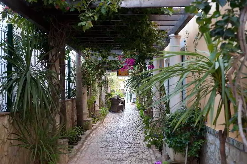 Fotos del hotel Dom Manuel I Charming Residence:  8