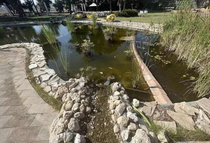 Fotos del hotel El Cisne:  25