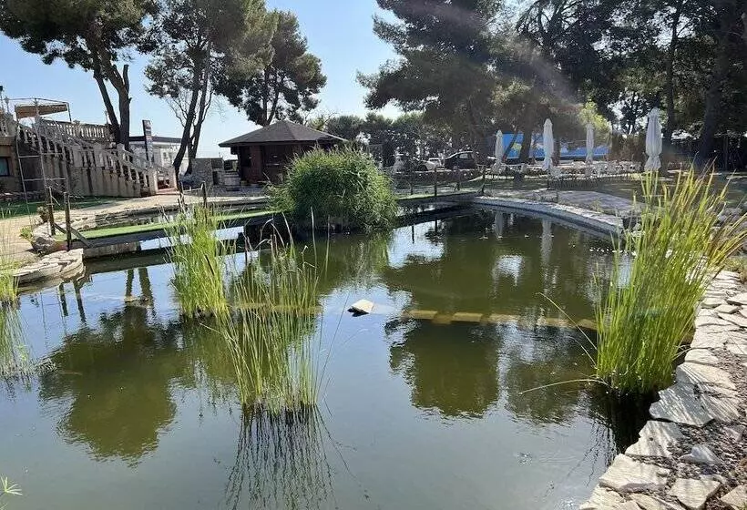 Fotos del hotel El Cisne:  13