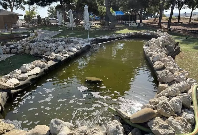 Fotos del hotel El Cisne:  3