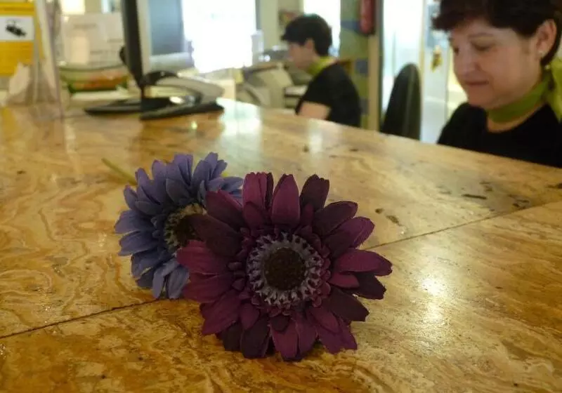 Fotos del hotel Jardín De Aranjuez:  18