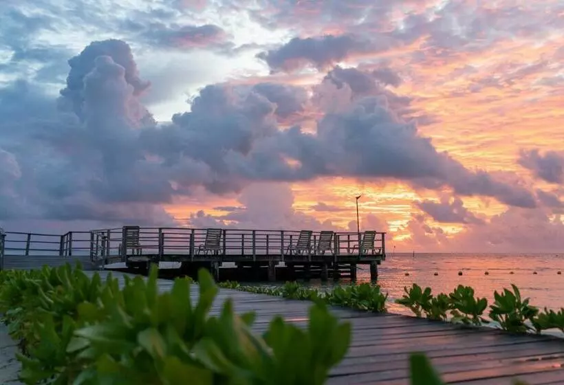 Fotos del hotel Cancun Bay Resort  All Inclusive:  14