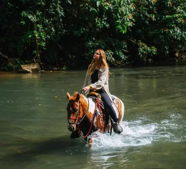 Fotos del hotel Montaña De Fuego:  10