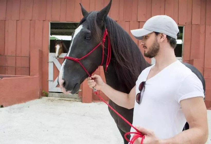 Fotos del hotel Montaña De Fuego:  5