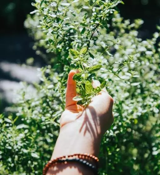 Fotos del hotel Montaña De Fuego:  13