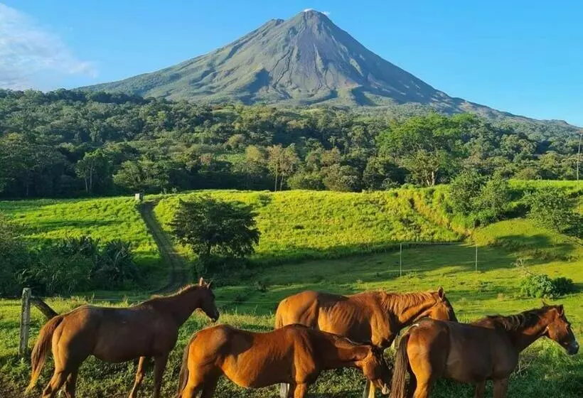 Fotos del hotel Montaña De Fuego:  20