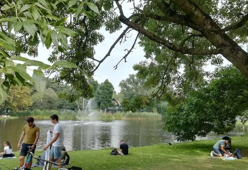 Fotos del hotel Van Gogh:  3