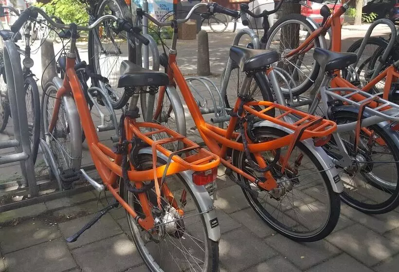 Fotos del hotel Van Gogh:  13