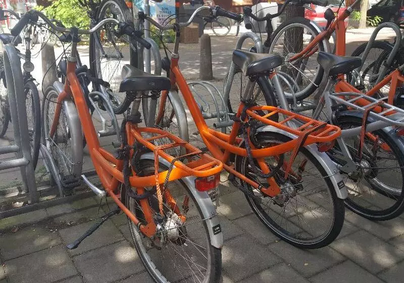 Fotos del hotel Van Gogh:  22