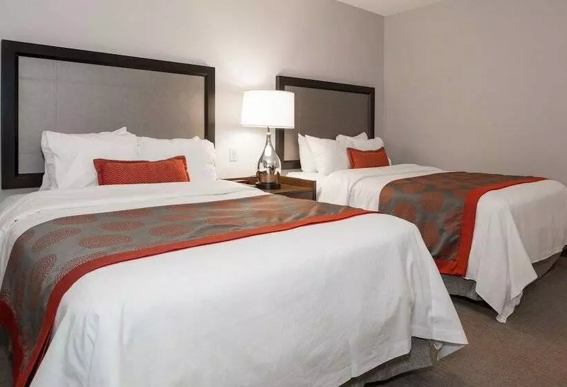 Fotos del hotel Ramada By Wyndham Boston:  13