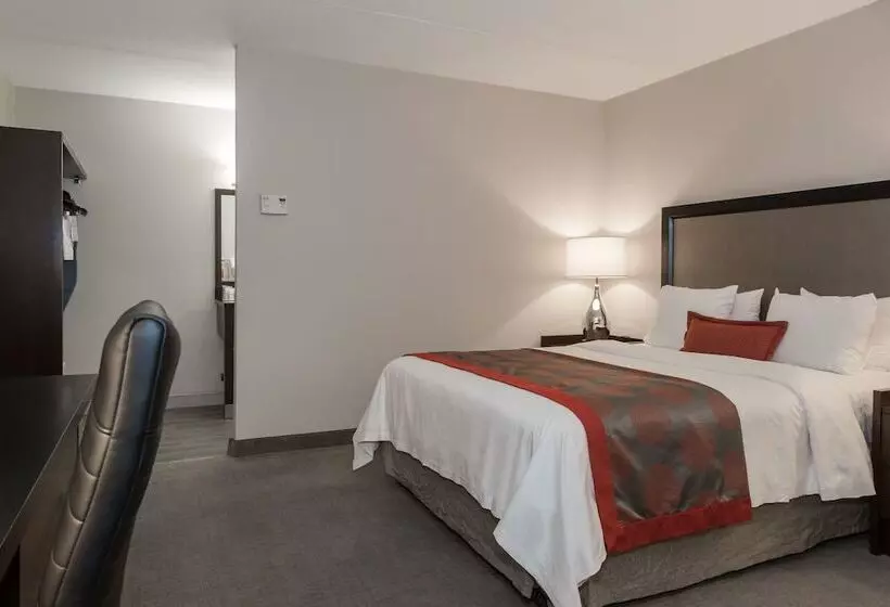 Fotos del hotel Ramada By Wyndham Boston:  8