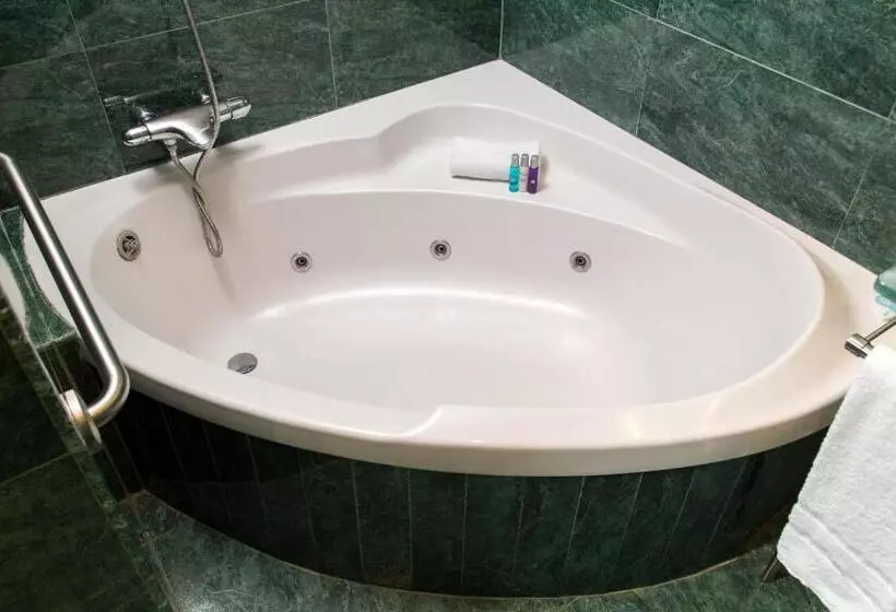 Fotos del hotel Acevi Villarroel:  14