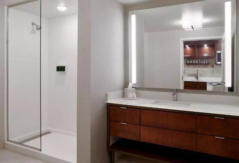 Fotos del hotel Towneplace Suites By Marriott Orlando Downtown:  10