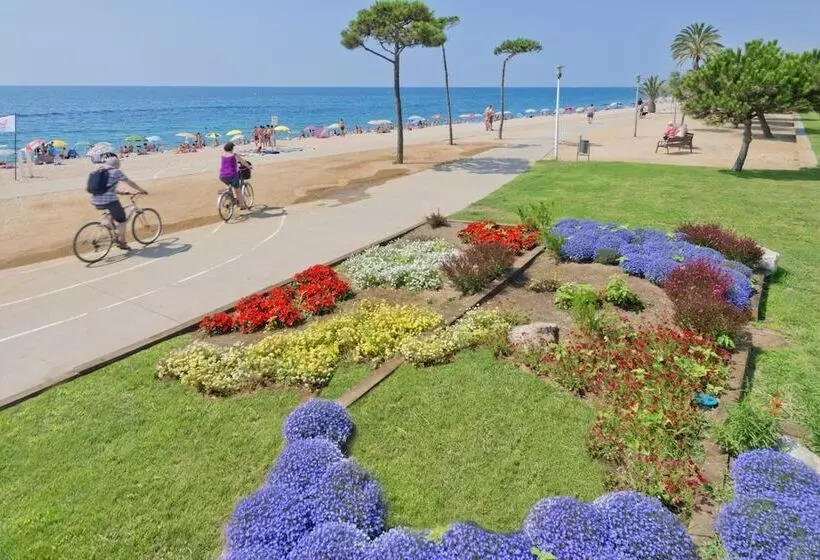 Fotos del hotel Mercè:  25