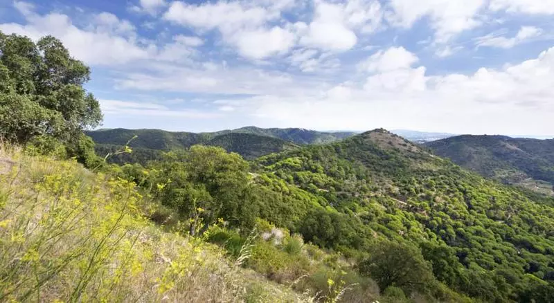Fotos del hotel Mercè:  23