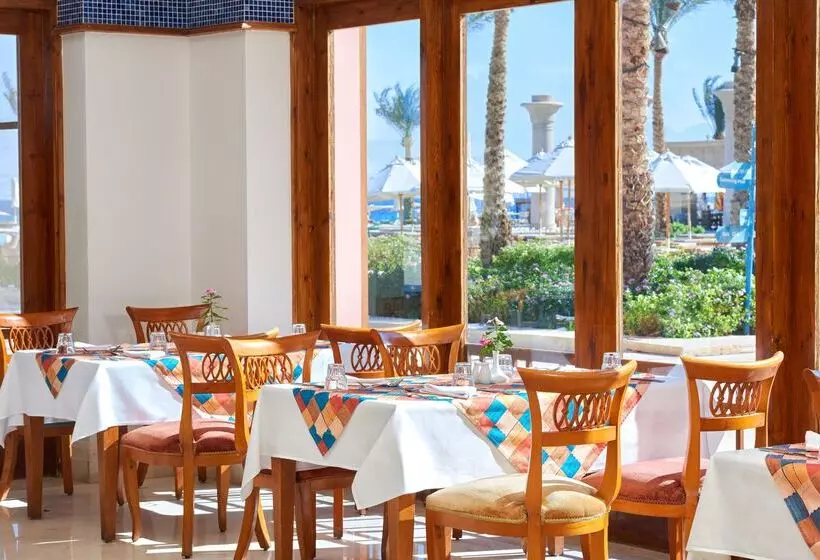 Fotos del hotel Mosaique Beach Resort Taba Heights:  24