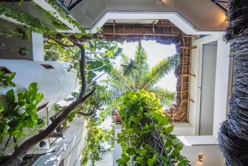 Fotos del hotel Posada Mariposa Boutique   5th Avenue:  4